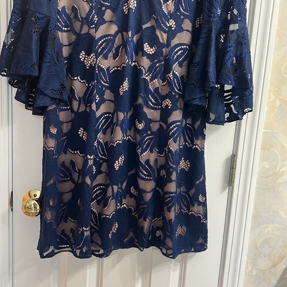 Adrianna Papell Navy Blue Lace Dress - Picture 5 of 13